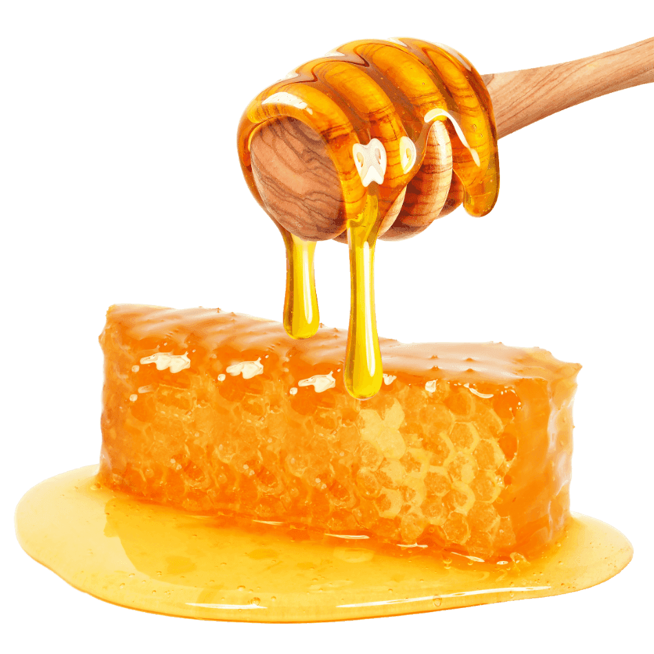 WILDFLOWER HONEY