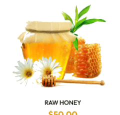 Orange Blossom (Citrus) Honey