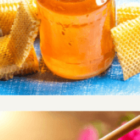 Fresh honeycomb jar